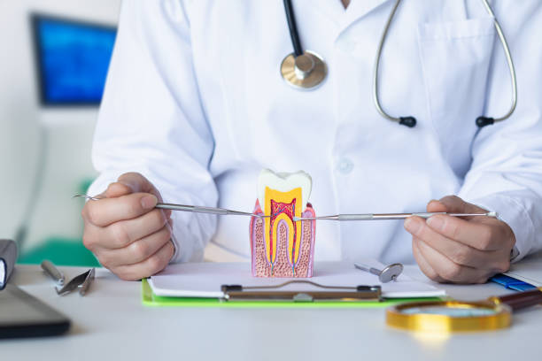 Best Weekend Emergency Dentist in Berry Creek, CA